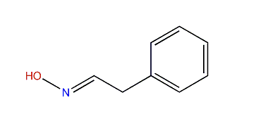 (E)-2-Phenylacetaldehyde oxime